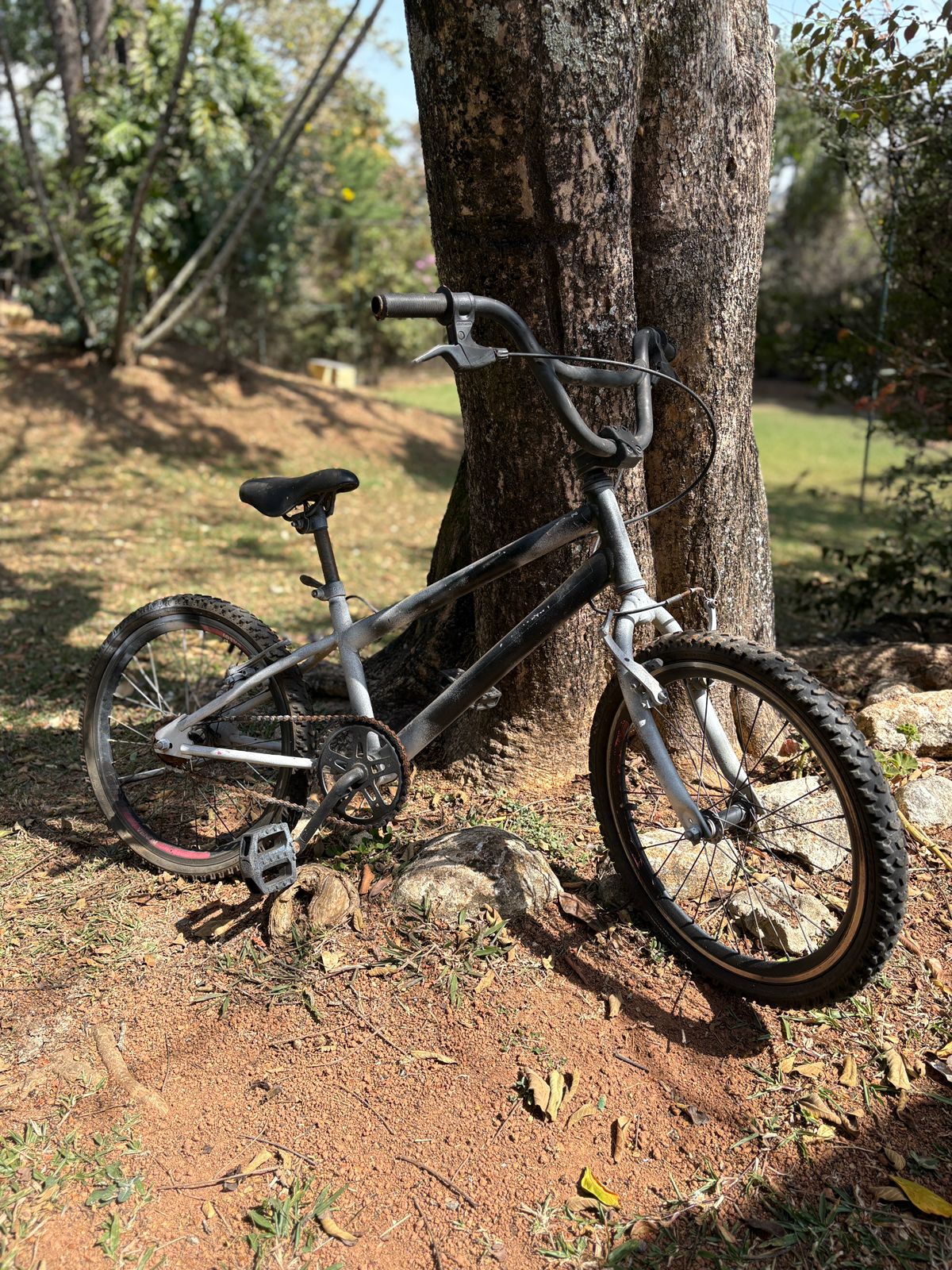 Bicicleta aro 20